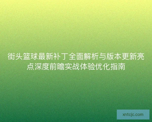 街头篮球最新补丁全面解析与版本更新亮点深度前瞻实战体验优化指南